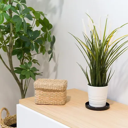 Brand New Downtown Apartment Las Palmas de Gran Canaria